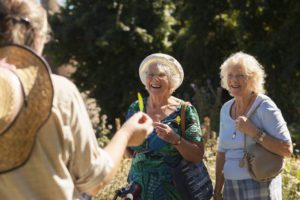 Group Visits